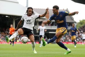 soi-keo-newcastle-vs-fulham-21h-25-10