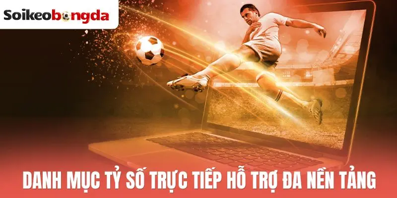 Livescore 72 Danh mục tỷ số trực tiếp hỗ trợ đa nền tảng