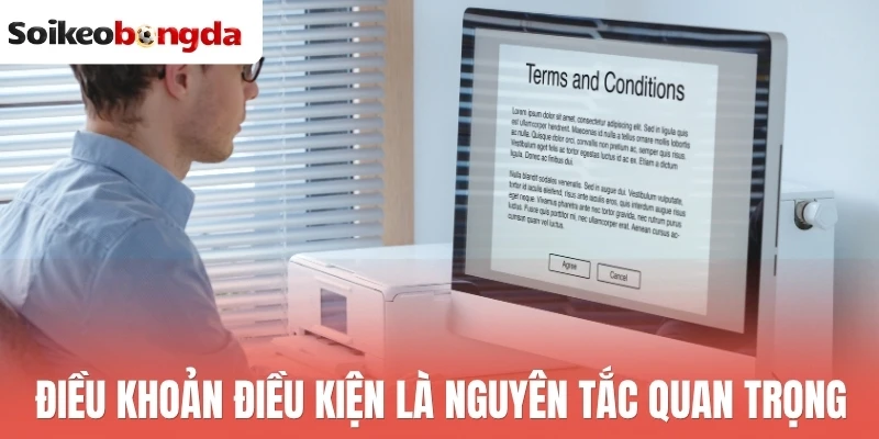 Điều Khoản Điều Kiện - Nguyên Tắc Truy Cập Và Dùng Dữ Liệu 1 Điều khoản điều kiện là nguyên tắc quan trọng