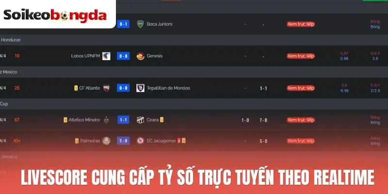 Livescore 69 Livescore cung cấp tỷ số trực tuyến theo realtime