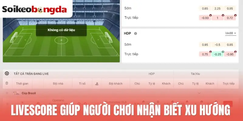 Livescore 73 Livescore giúp người chơi nhận biết xu hướng