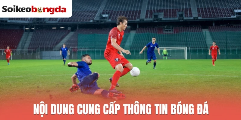 Điều Khoản Điều Kiện - Nguyên Tắc Truy Cập Và Dùng Dữ Liệu 2 Nội dung cung cấp thông tin bóng đá