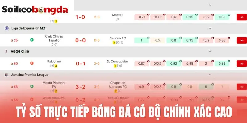 Livescore 71 Tỷ số trực tiếp bóng đá có độ chính xác cao