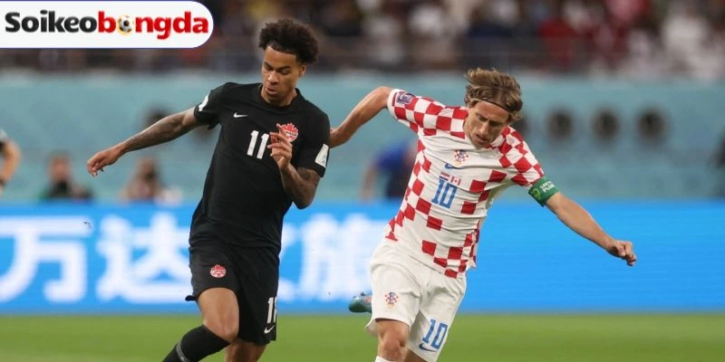 Soi Kèo Bóng Đá Bosnia And Herzegovina Vs Qatar - Bảng B World Cup 02h00 25/06/2026 5 Kèo Châu ÁDự đoán bảng kèo trận Bosnia and Herzegovina vs Qatar