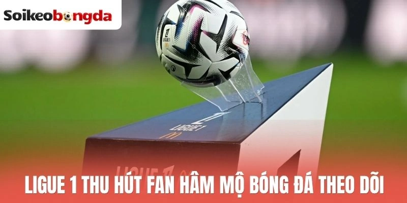 Soi kèo bóng đá 72 Ligue 1 thu hút fan hâm mộ bóng đá theo dõi