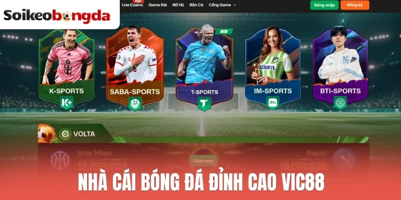 Soi kèo bóng đá 73 Nhà cái bóng đá đỉnh cao Vic88