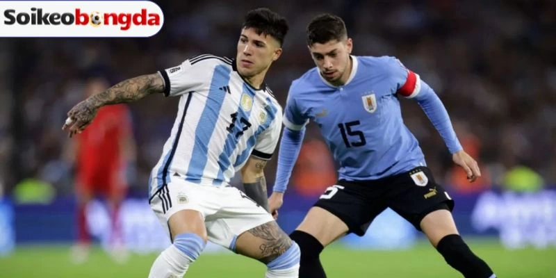 Kèo Bóng Đá Uruguay Vs Tây Ban Nha - Bảng H World Cup 07h00 27/06/2026 3 Sơ đồ lực lượng thi đấu của Uruguay vs Tây Ban Nha