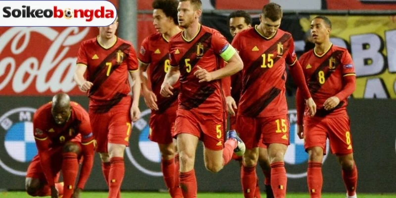Soi Kèo Bóng Đá Bỉ Vs Ai Cập - Bảng G World Cup 02h00 16/06/2026 3 Sơ đồ ra sân dự kiến trận Bỉ vs Ai Cập