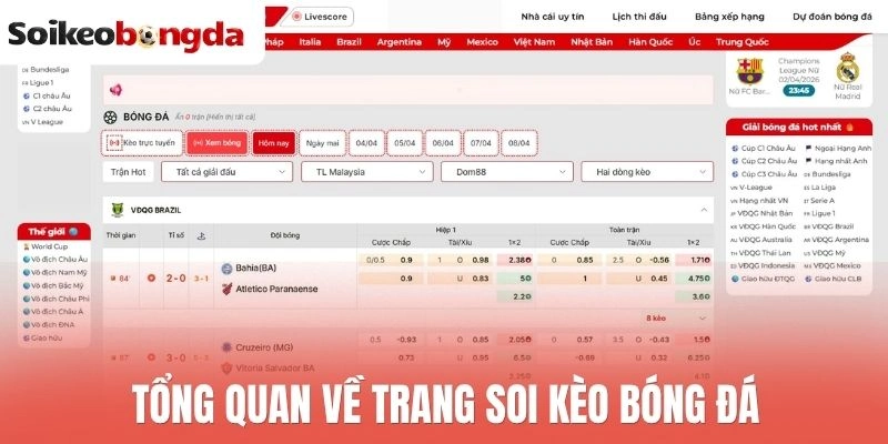 Soi kèo bóng đá 68 Tổng quan về trang soi kèo bóng đá