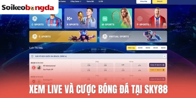 Soi kèo bóng đá 84 Xem live và cược bóng đá tại Sky88